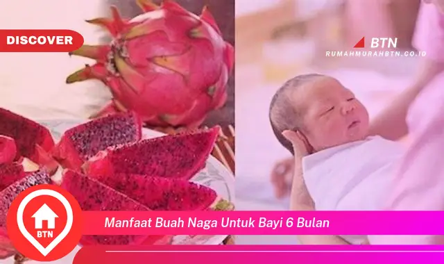 manfaat buah naga untuk bayi 6 bulan