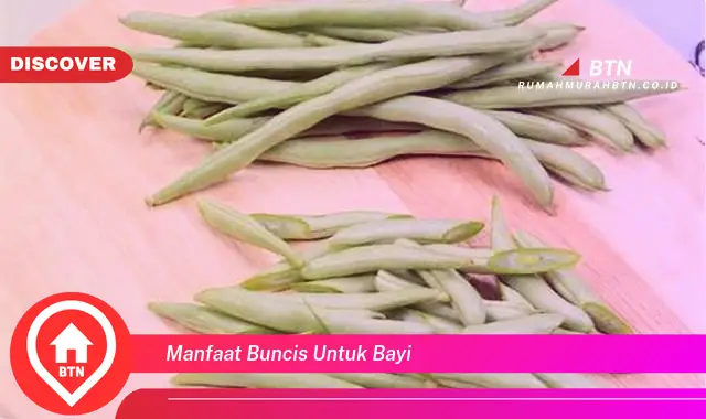 manfaat buncis untuk bayi