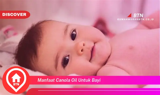 manfaat canola oil untuk bayi