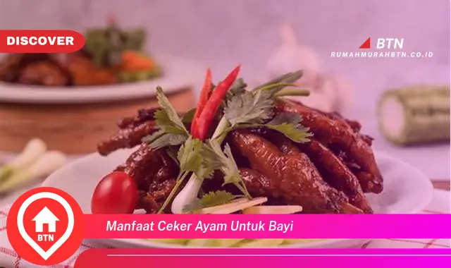 manfaat ceker ayam untuk bayi