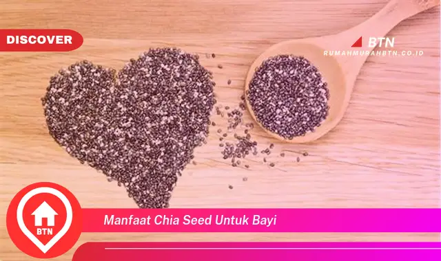 manfaat chia seed untuk bayi