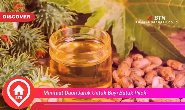 manfaat daun jarak untuk bayi batuk pilek