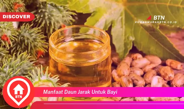 manfaat daun jarak untuk bayi