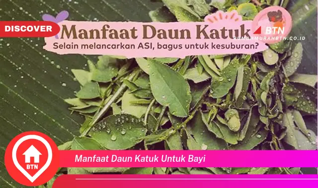 manfaat daun katuk untuk bayi