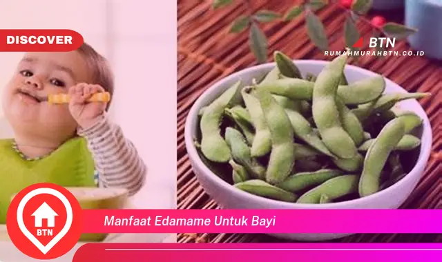 manfaat edamame untuk bayi