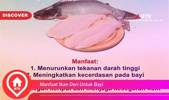 manfaat ikan dori untuk bayi