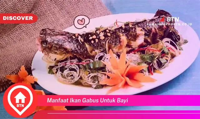 manfaat ikan gabus untuk bayi