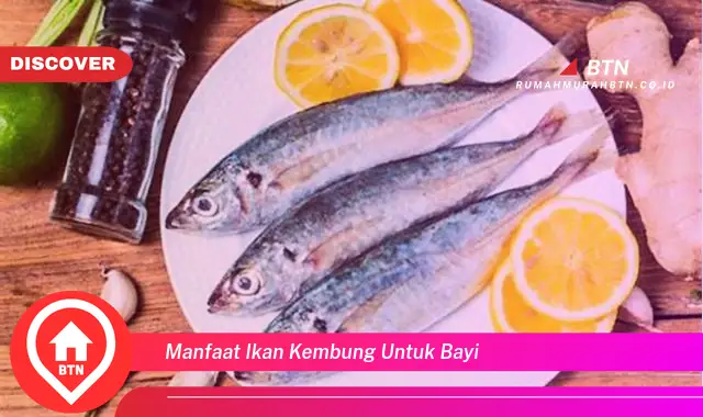 manfaat ikan kembung untuk bayi