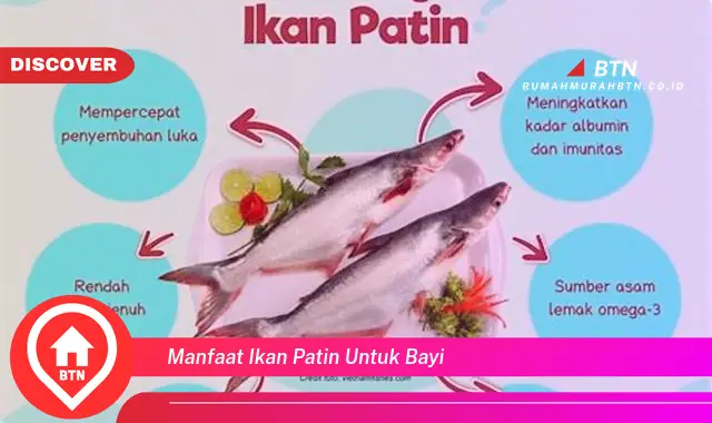 manfaat ikan patin untuk bayi