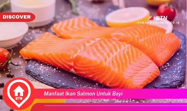 manfaat ikan salmon untuk bayi