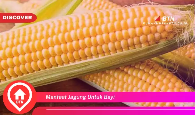 manfaat jagung untuk bayi