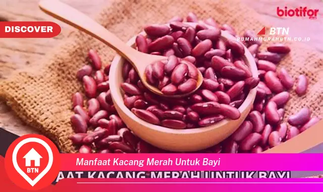 manfaat kacang merah untuk bayi