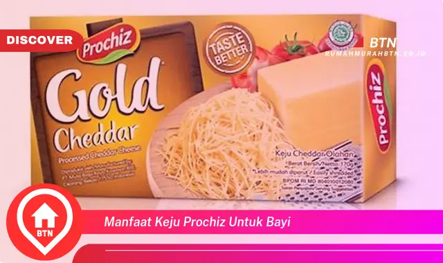 manfaat keju prochiz untuk bayi