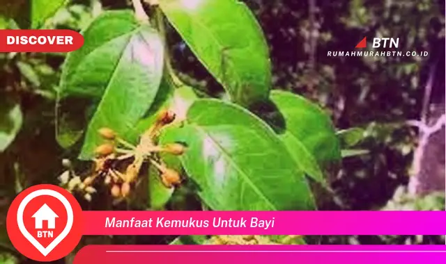 manfaat kemukus untuk bayi