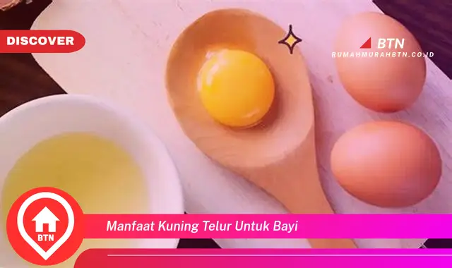 manfaat kuning telur untuk bayi