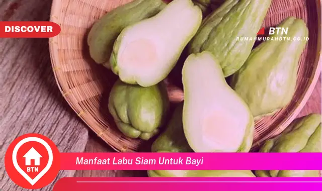 manfaat labu siam untuk bayi