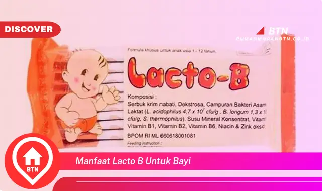 manfaat lacto b untuk bayi