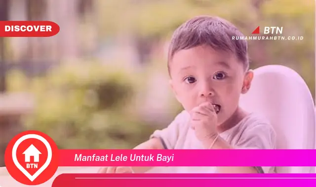 manfaat lele untuk bayi