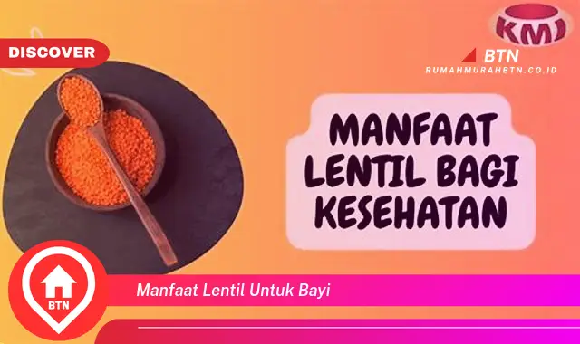 manfaat lentil untuk bayi