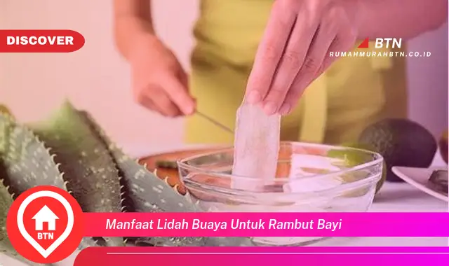 manfaat lidah buaya untuk rambut bayi