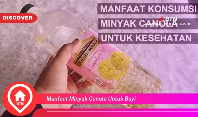 manfaat minyak canola untuk bayi