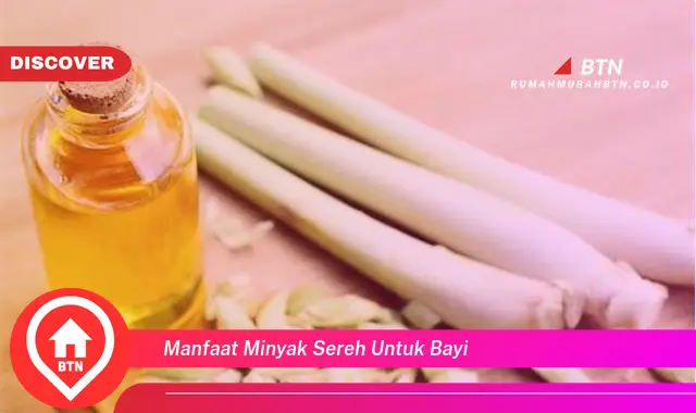 manfaat minyak sereh untuk bayi