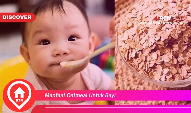 manfaat oatmeal untuk bayi