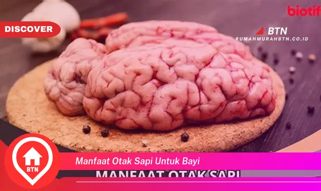 manfaat otak sapi untuk bayi