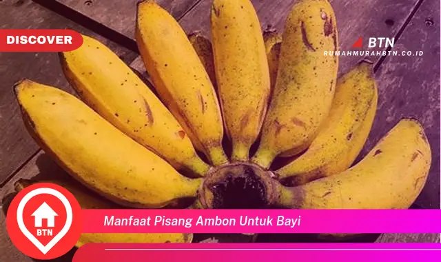 manfaat pisang ambon untuk bayi