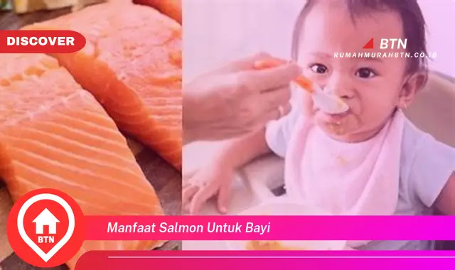 manfaat salmon untuk bayi