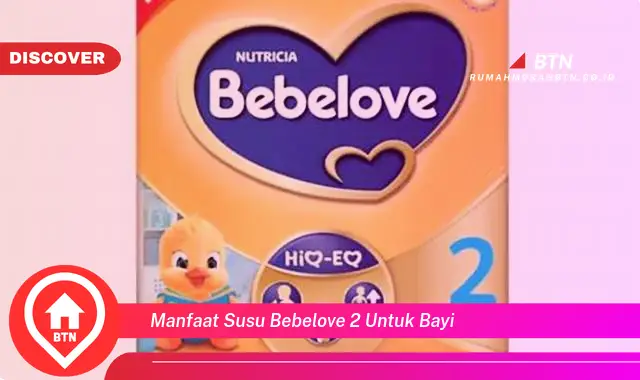 manfaat susu bebelove 2 untuk bayi