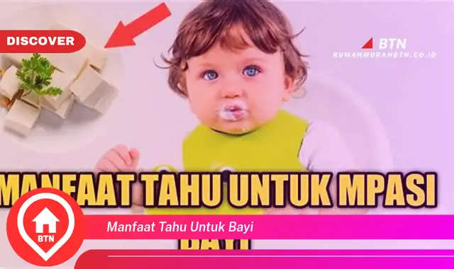 manfaat tahu untuk bayi