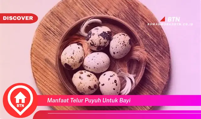 manfaat telur puyuh untuk bayi