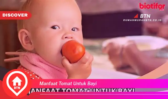 manfaat tomat untuk bayi