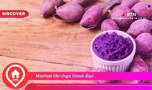 manfaat ubi ungu untuk bayi