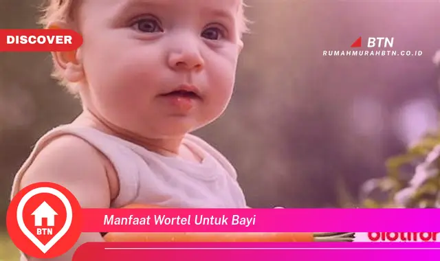 manfaat wortel untuk bayi