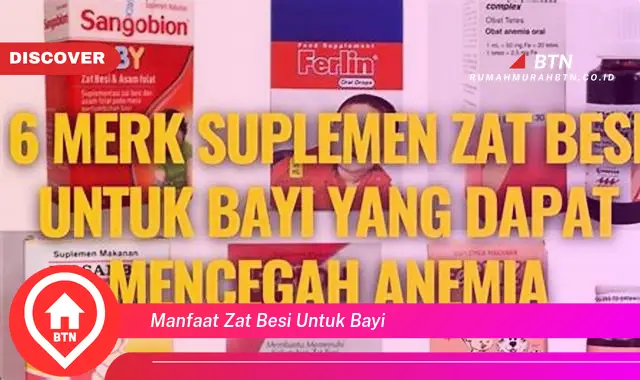 manfaat zat besi untuk bayi