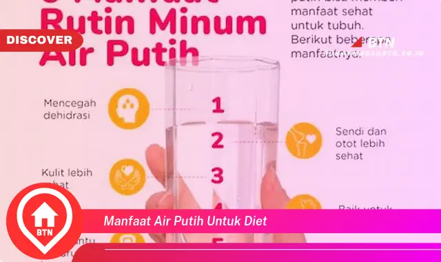 manfaat air putih untuk diet