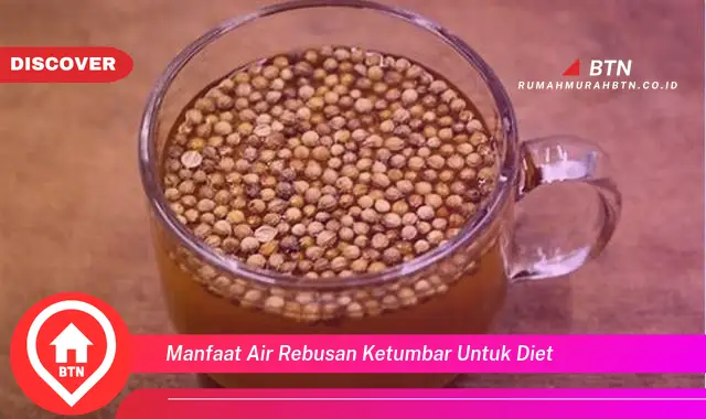 manfaat air rebusan ketumbar untuk diet