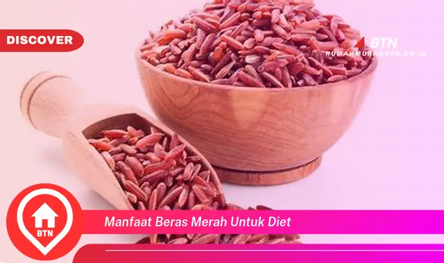 manfaat beras merah untuk diet