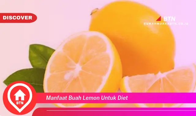 manfaat buah lemon untuk diet