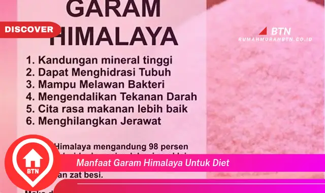 manfaat garam himalaya untuk diet