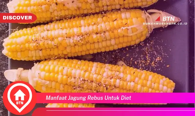 manfaat jagung rebus untuk diet