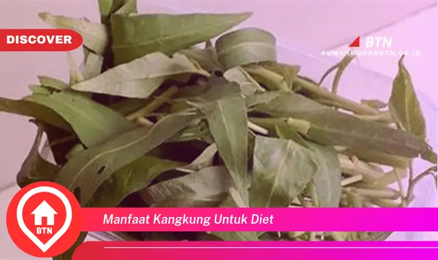 manfaat kangkung untuk diet