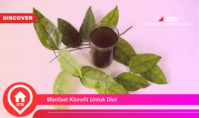 manfaat klorofil untuk diet