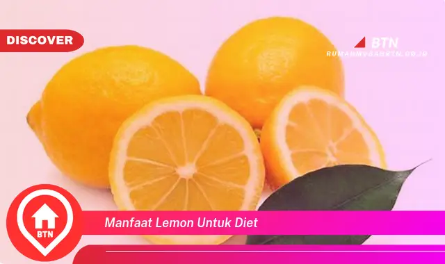 manfaat lemon untuk diet