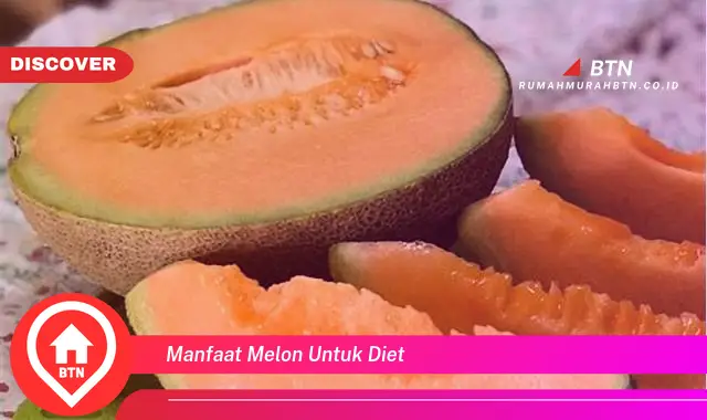 manfaat melon untuk diet