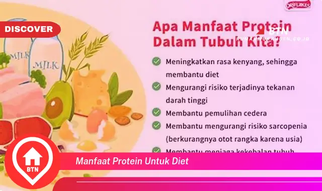 manfaat protein untuk diet