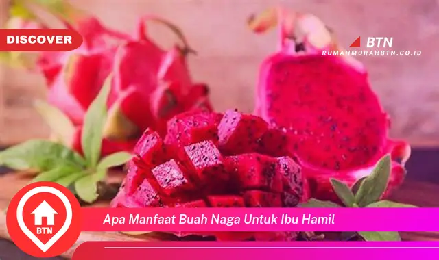 apa manfaat buah naga untuk ibu hamil