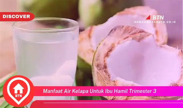 manfaat air kelapa untuk ibu hamil trimester 3